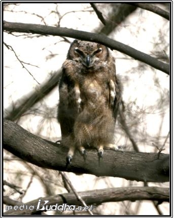 �������⿡ ���� �����ξ���