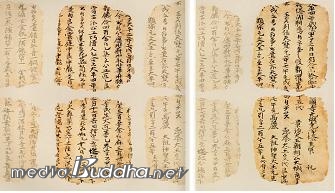 ����ž ��������