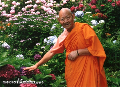 Çѱ¹Å×¶ó¹Ù´Ù±³´ÜÀÇ ÃÊ´ë »ó°¡¶óÀÚ(Á¾Á¤)¿¡ Ãß´ëµÇ´Â »Ó¾ß»ê¶Ç(µµ¼º) ½º´Ô