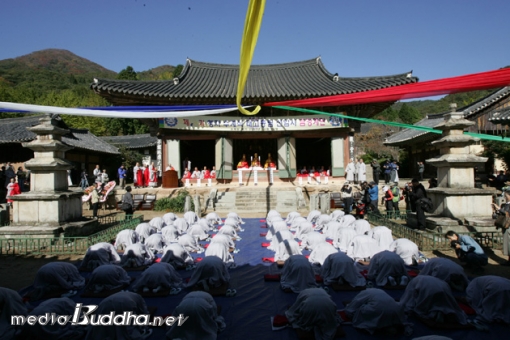 ������ �°��� ����긲 ���.  